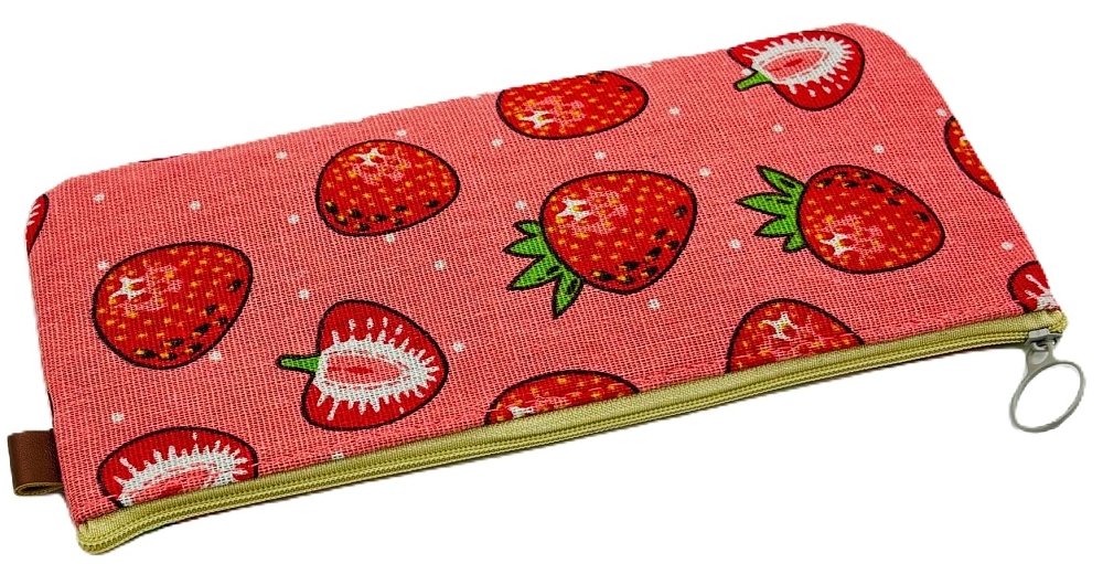 Κασετίνα φάκελος ,Hailaner ,21x8x3εκ.