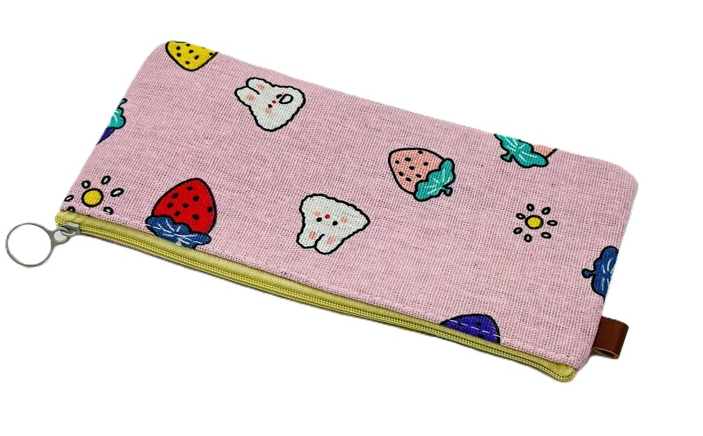 Κασετίνα φάκελος ,Hailaner ,21x8x3εκ.