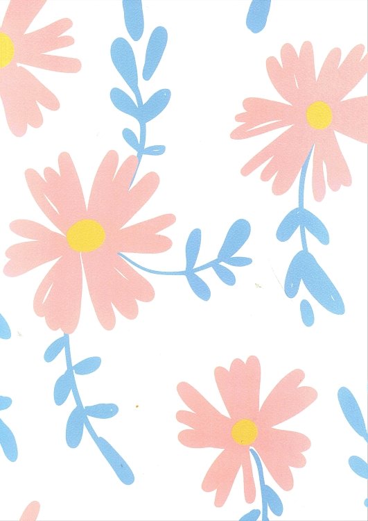 Σημειωματάριο Mikirei με μαλακό εξώφυλλο , Flowers.