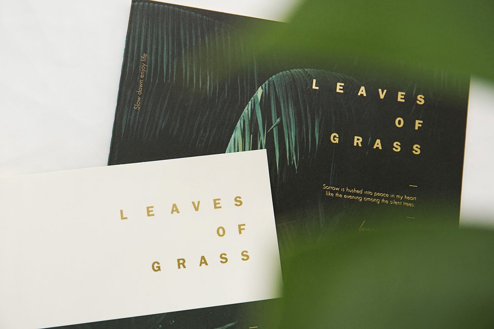 Notebook ,Joytop,grass.