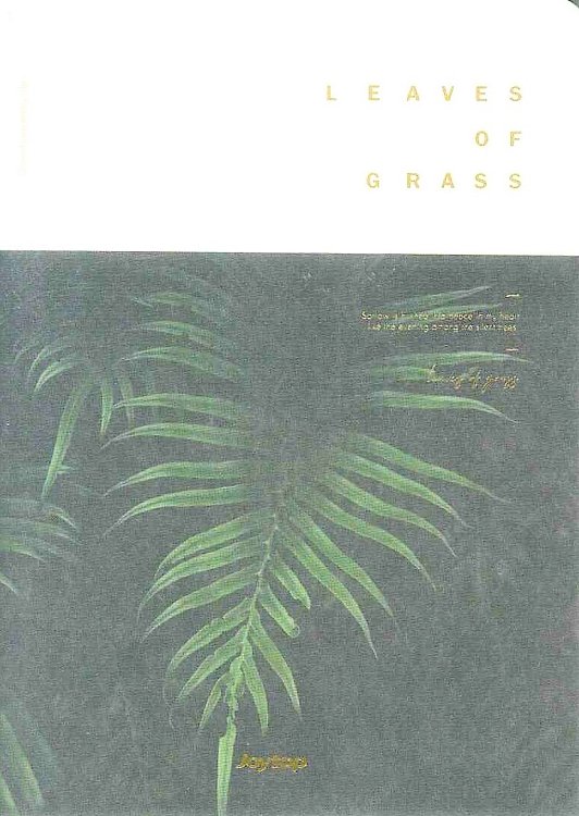 Notebook ,Joytop,grass.