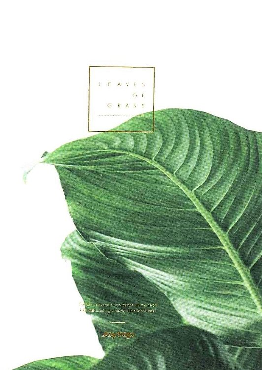 Notebook ,Joytop,grass.