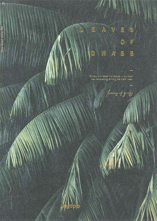 Notebook ,Joytop,grass.