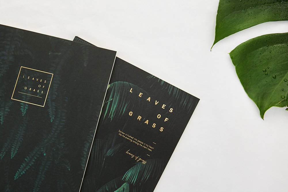 Notebook ,Joytop,grass.