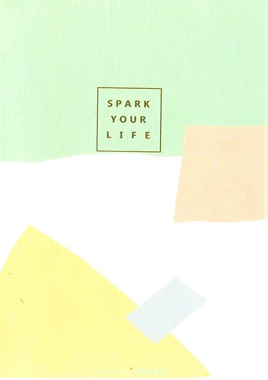 Notebook  ,Joytop,Spark