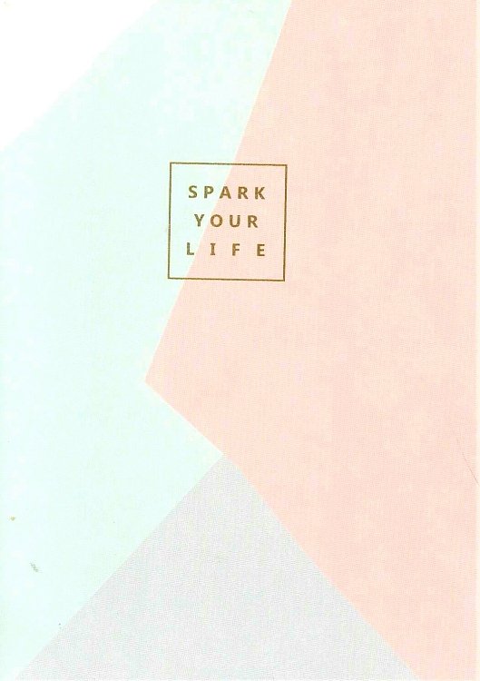 Notebook  ,Joytop,Spark