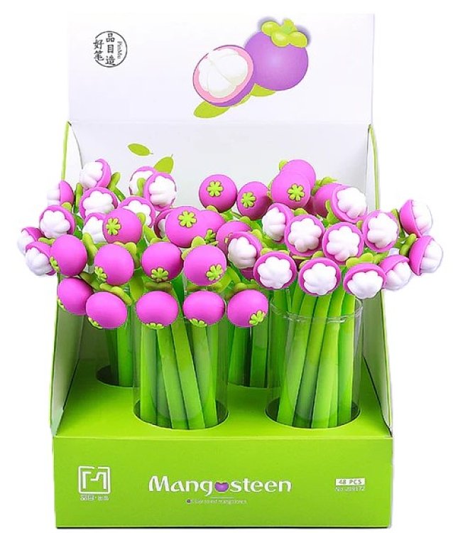 Fancy pen Mangosteen ,stand  48pcs