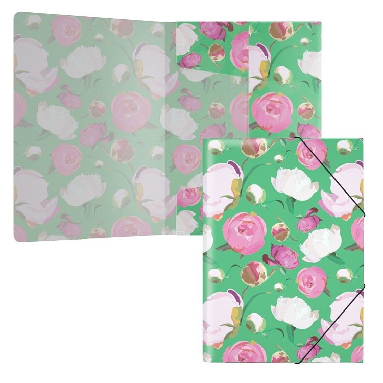 Φάκελος λάστιχο    Peonies.